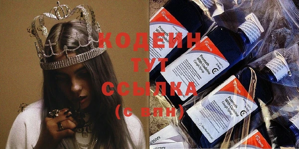 ПСИЛОЦИБИНОВЫЕ ГРИБЫ Тайга