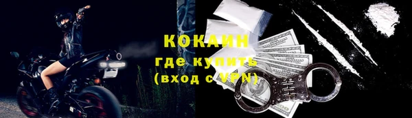 ALPHA PVP Богородицк