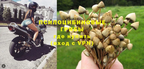 альфа пвп Богданович