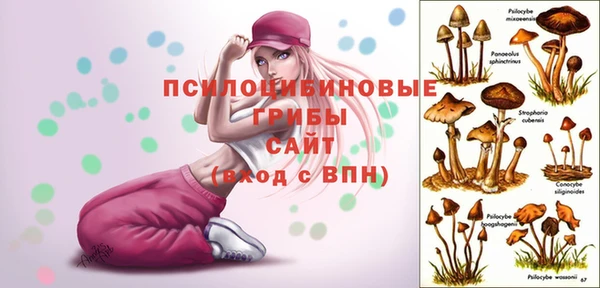 прущая мука Богородск